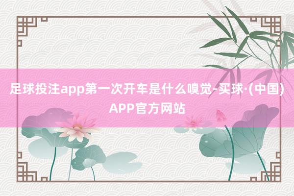 足球投注app第一次开车是什么嗅觉-买球·(中国)APP官方网站