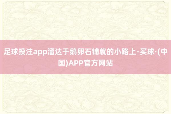 足球投注app溜达于鹅卵石铺就的小路上-买球·(中国)APP官方网站