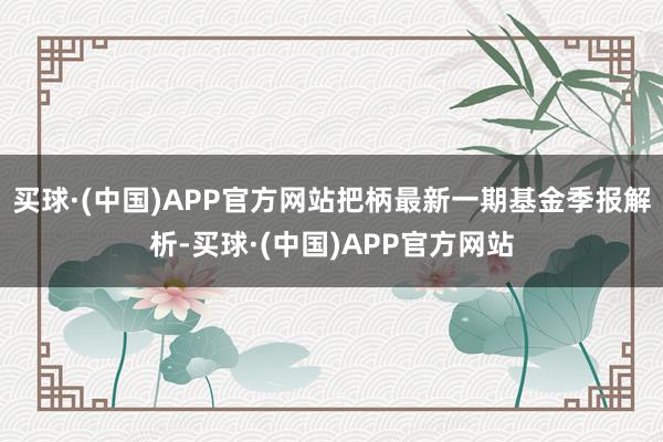 买球·(中国)APP官方网站把柄最新一期基金季报解析-买球·(中国)APP官方网站