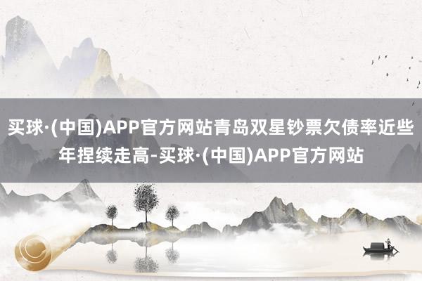 买球·(中国)APP官方网站青岛双星钞票欠债率近些年捏续走高-买球·(中国)APP官方网站