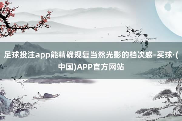 足球投注app能精确规复当然光影的档次感-买球·(中国)APP官方网站