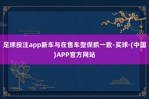 足球投注app新车与在售车型保抓一致-买球·(中国)APP官方网站