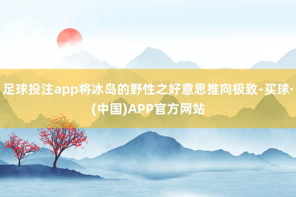 足球投注app将冰岛的野性之好意思推向极致-买球·(中国)APP官方网站