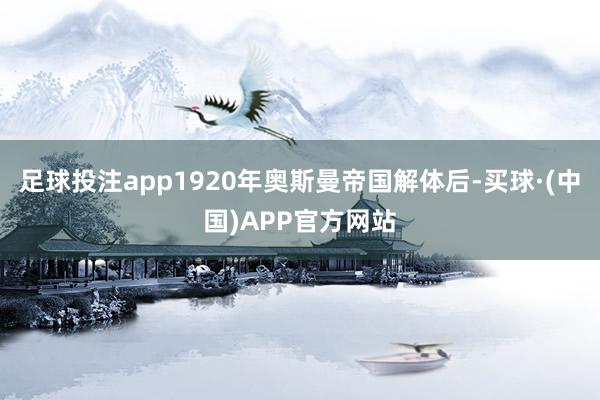足球投注app1920年奥斯曼帝国解体后-买球·(中国)APP官方网站