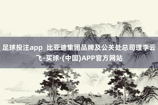 足球投注app  比亚迪集团品牌及公关处总司理李云飞-买球·(中国)APP官方网站