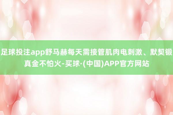 足球投注app舒马赫每天需接管肌肉电刺激、默契锻真金不怕火-买球·(中国)APP官方网站