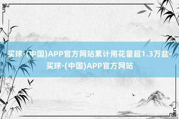 买球·(中国)APP官方网站累计用花量超1.3万盆-买球·(中国)APP官方网站