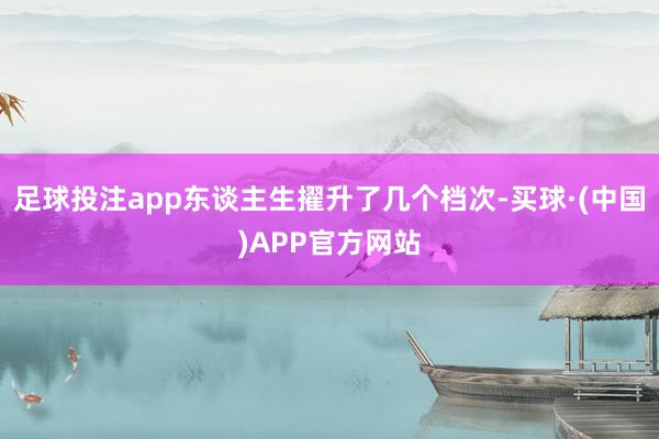 足球投注app东谈主生擢升了几个档次-买球·(中国)APP官方网站