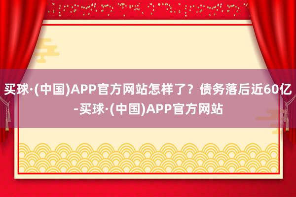 买球·(中国)APP官方网站怎样了？债务落后近60亿-买球·(中国)APP官方网站