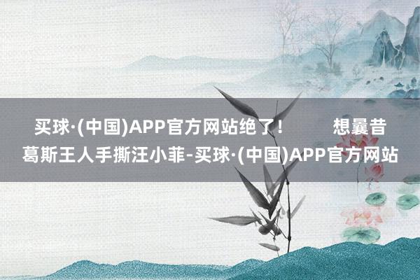 买球·(中国)APP官方网站绝了！        想曩昔葛斯王人手撕汪小菲-买球·(中国)APP官方网站