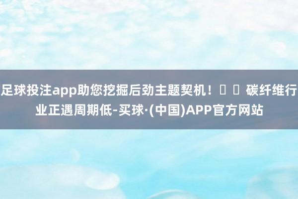 足球投注app助您挖掘后劲主题契机！		碳纤维行业正遇周期低-买球·(中国)APP官方网站