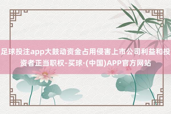 足球投注app大鼓动资金占用侵害上市公司利益和投资者正当职权-买球·(中国)APP官方网站