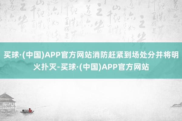 买球·(中国)APP官方网站消防赶紧到场处分并将明火扑灭-买球·(中国)APP官方网站