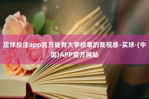 足球投注app完万能有大学校草的既视感-买球·(中国)APP官方网站