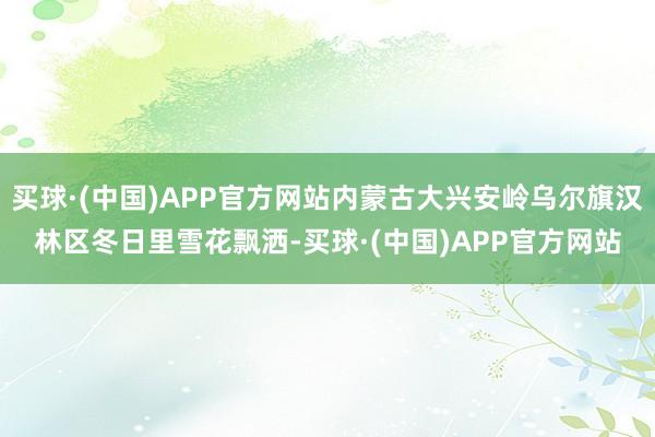 买球·(中国)APP官方网站内蒙古大兴安岭乌尔旗汉林区冬日里雪花飘洒-买球·(中国)APP官方网站