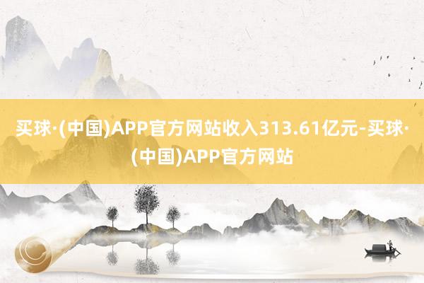 买球·(中国)APP官方网站收入313.61亿元-买球·(中国)APP官方网站