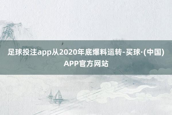足球投注app从2020年底爆料运转-买球·(中国)APP官方网站