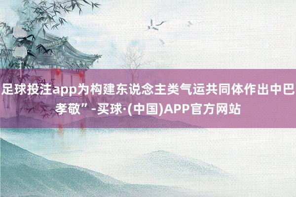 足球投注app为构建东说念主类气运共同体作出中巴孝敬”-买球·(中国)APP官方网站