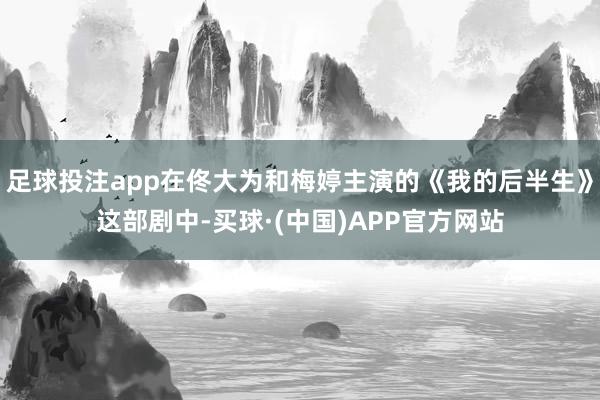 足球投注app在佟大为和梅婷主演的《我的后半生》这部剧中-买球·(中国)APP官方网站