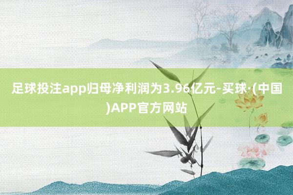 足球投注app归母净利润为3.96亿元-买球·(中国)APP官方网站