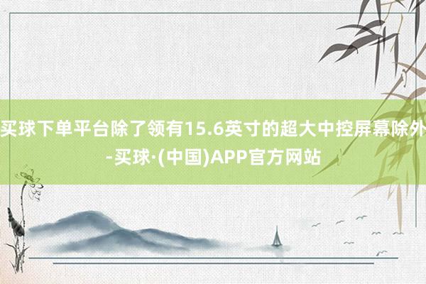 买球下单平台除了领有15.6英寸的超大中控屏幕除外-买球·(中国)APP官方网站