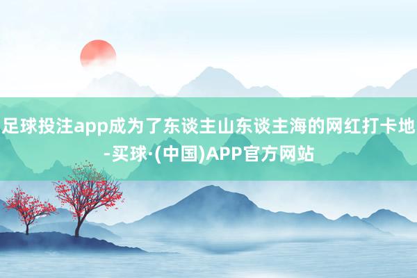足球投注app成为了东谈主山东谈主海的网红打卡地-买球·(中国)APP官方网站