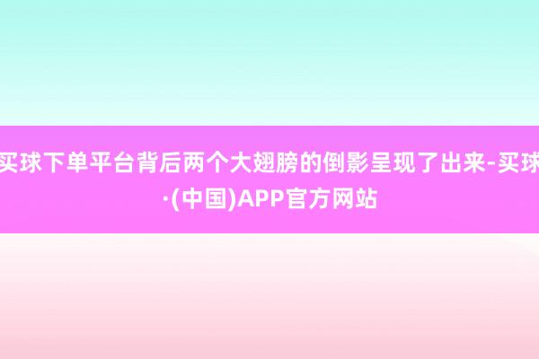 买球下单平台背后两个大翅膀的倒影呈现了出来-买球·(中国)APP官方网站