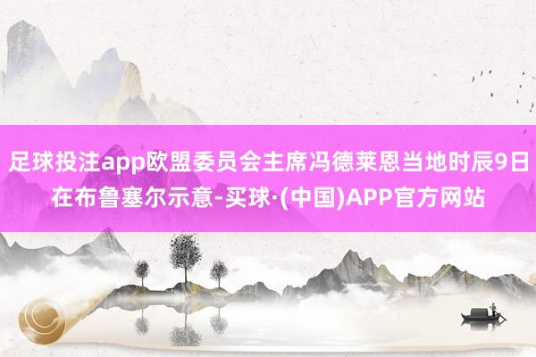 足球投注app欧盟委员会主席冯德莱恩当地时辰9日在布鲁塞尔示意-买球·(中国)APP官方网站