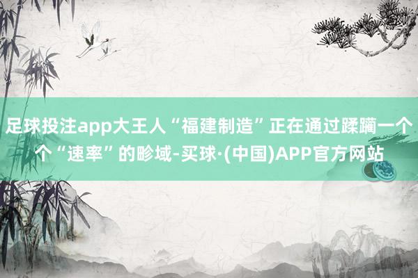 足球投注app大王人“福建制造”正在通过蹂躏一个个“速率”的畛域-买球·(中国)APP官方网站