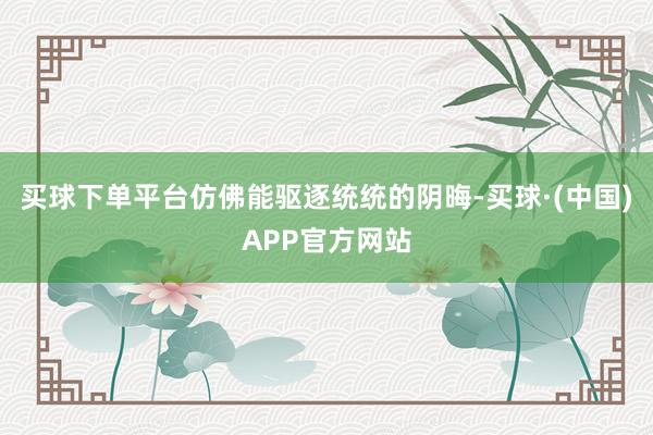 买球下单平台仿佛能驱逐统统的阴晦-买球·(中国)APP官方网站