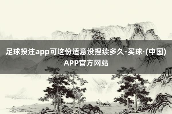 足球投注app可这份适意没捏续多久-买球·(中国)APP官方网站