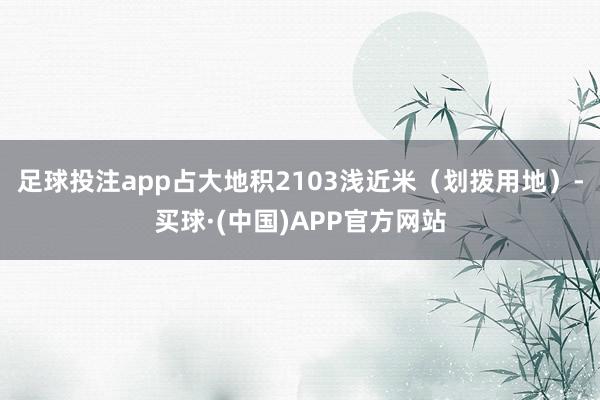 足球投注app占大地积2103浅近米（划拨用地）-买球·(中国)APP官方网站