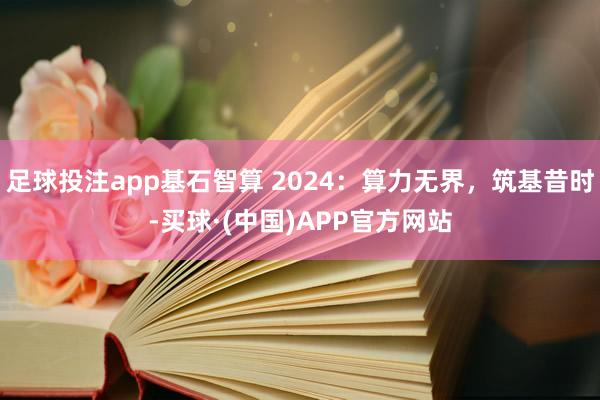 足球投注app基石智算 2024：算力无界，筑基昔时-买球·(中国)APP官方网站