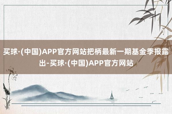 买球·(中国)APP官方网站把柄最新一期基金季报露出-买球·(中国)APP官方网站