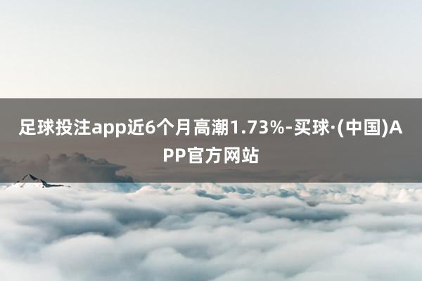 足球投注app近6个月高潮1.73%-买球·(中国)APP官方网站