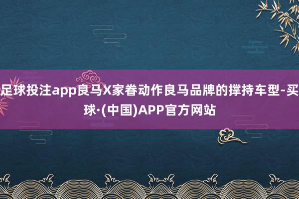 足球投注app良马X家眷动作良马品牌的撑持车型-买球·(中国)APP官方网站