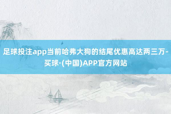足球投注app当前哈弗大狗的结尾优惠高达两三万-买球·(中国)APP官方网站