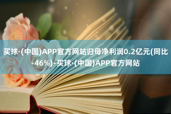 买球·(中国)APP官方网站归母净利润0.2亿元(同比-46%)-买球·(中国)APP官方网站