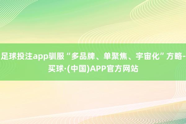 足球投注app驯服“多品牌、单聚焦、宇宙化”方略-买球·(中国)APP官方网站