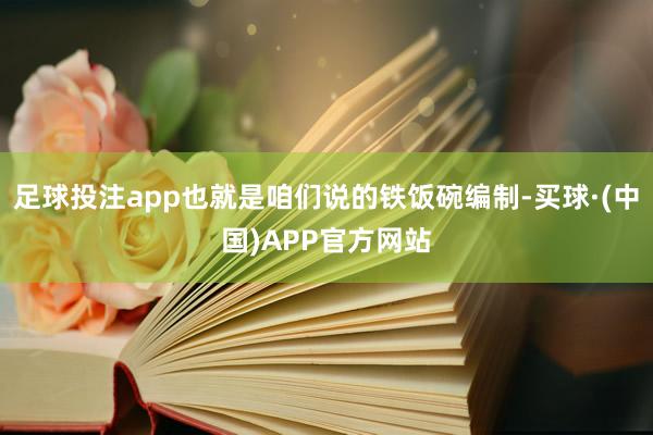 足球投注app也就是咱们说的铁饭碗编制-买球·(中国)APP官方网站