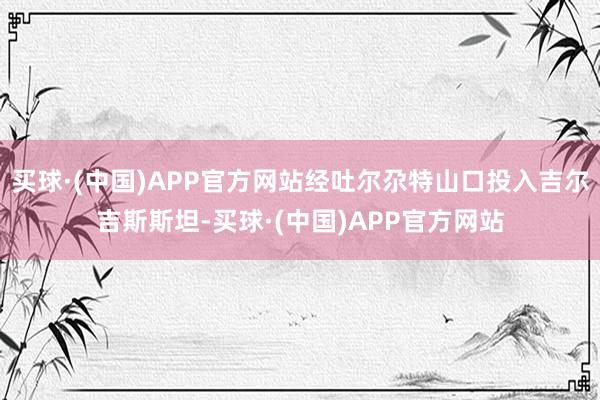 买球·(中国)APP官方网站经吐尔尕特山口投入吉尔吉斯斯坦-买球·(中国)APP官方网站