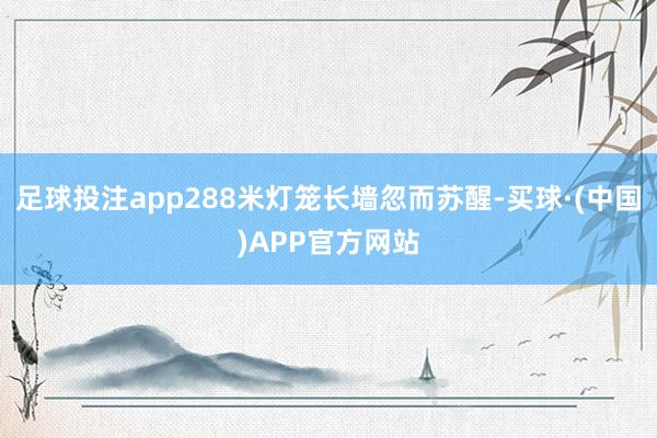 足球投注app288米灯笼长墙忽而苏醒-买球·(中国)APP官方网站