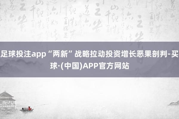 足球投注app“两新”战略拉动投资增长恶果剖判-买球·(中国)APP官方网站