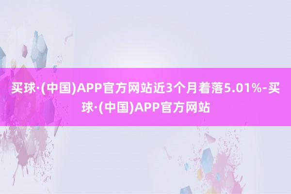 买球·(中国)APP官方网站近3个月着落5.01%-买球·(中国)APP官方网站