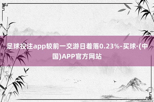 足球投注app较前一交游日着落0.23%-买球·(中国)APP官方网站