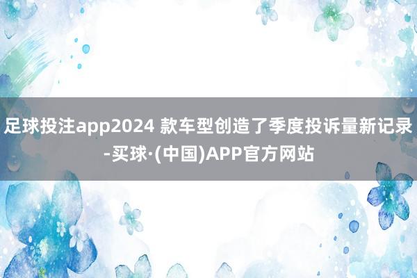 足球投注app2024 款车型创造了季度投诉量新记录-买球·(中国)APP官方网站