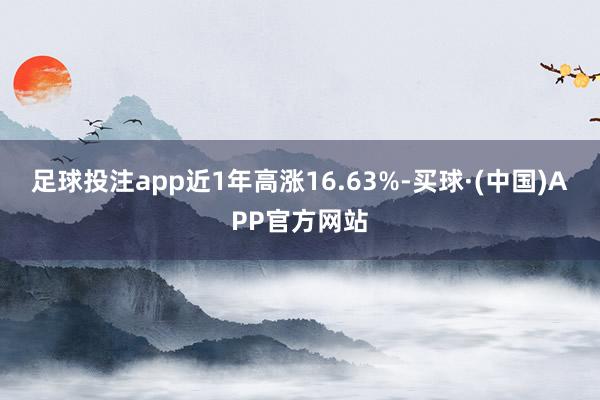 足球投注app近1年高涨16.63%-买球·(中国)APP官方网站