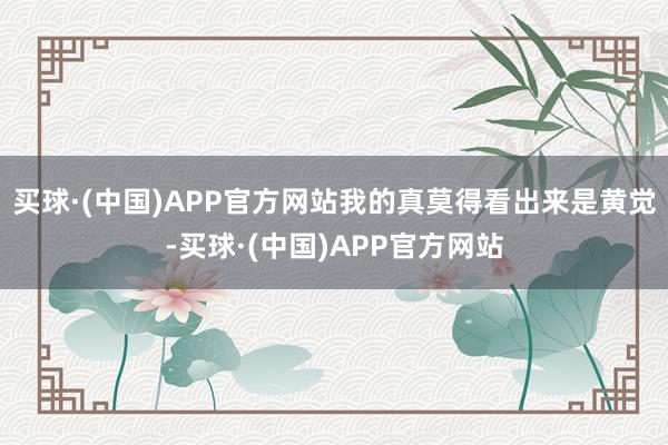 买球·(中国)APP官方网站我的真莫得看出来是黄觉-买球·(中国)APP官方网站