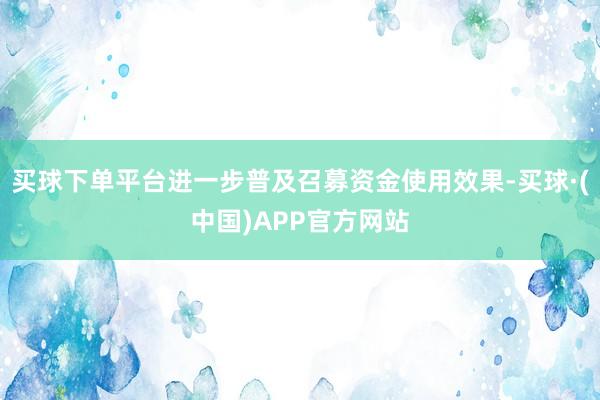 买球下单平台进一步普及召募资金使用效果-买球·(中国)APP官方网站