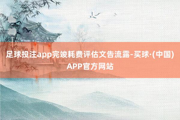 足球投注app完竣耗费评估文告流露-买球·(中国)APP官方网站